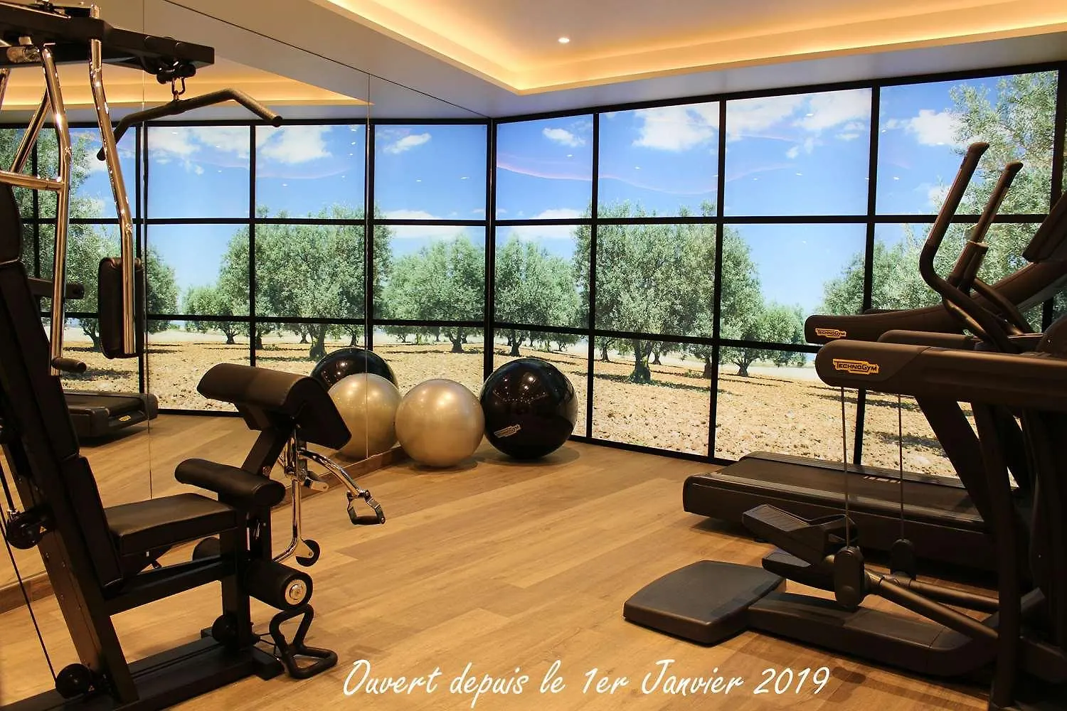 Hotel Best Western Plus Le Lavarin Avignon